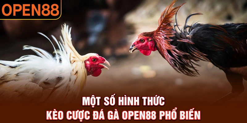 Một số hình thức kèo cược đá gà open88 phổ biến